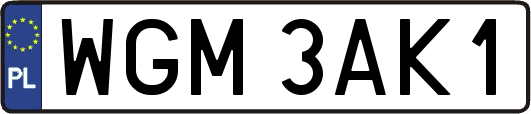 WGM3AK1