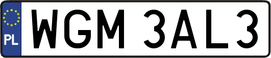 WGM3AL3