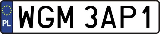 WGM3AP1