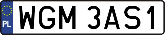 WGM3AS1