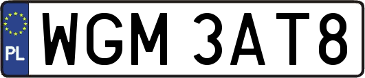 WGM3AT8