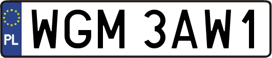 WGM3AW1