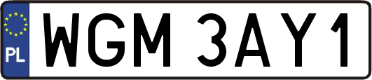 WGM3AY1