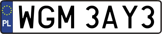 WGM3AY3