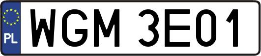 WGM3E01