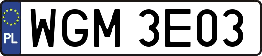 WGM3E03
