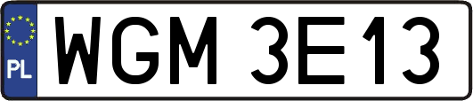WGM3E13
