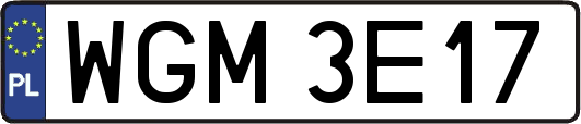 WGM3E17