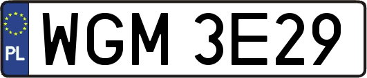 WGM3E29
