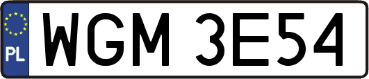 WGM3E54