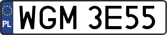 WGM3E55