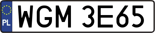 WGM3E65