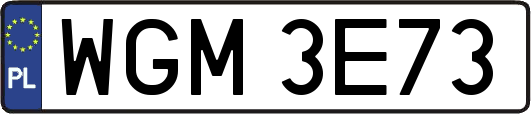 WGM3E73