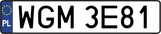 WGM3E81