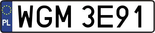 WGM3E91