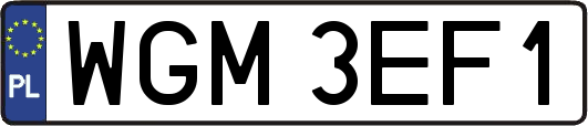 WGM3EF1