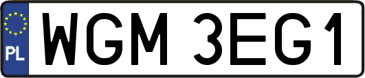 WGM3EG1