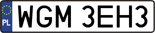 WGM3EH3