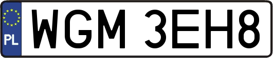 WGM3EH8