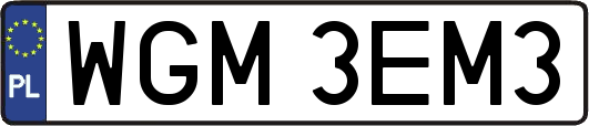 WGM3EM3