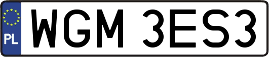 WGM3ES3