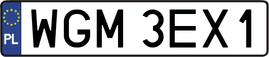 WGM3EX1