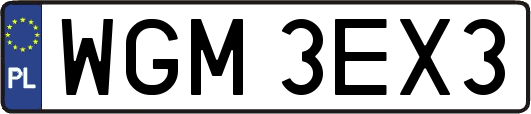 WGM3EX3