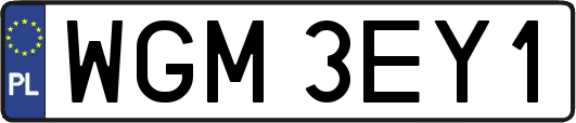 WGM3EY1