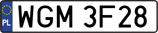 WGM3F28