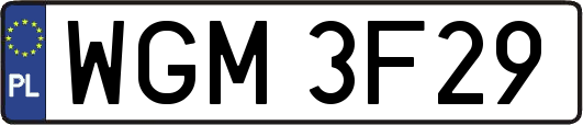 WGM3F29