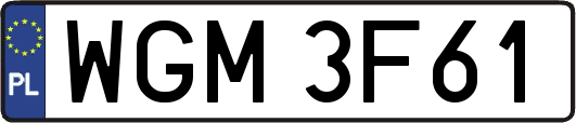 WGM3F61