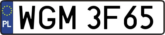 WGM3F65