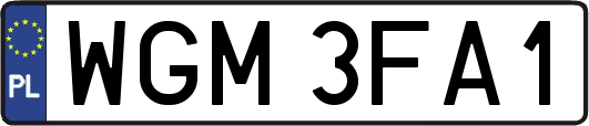WGM3FA1