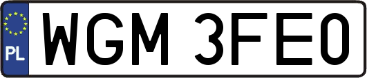 WGM3FE0
