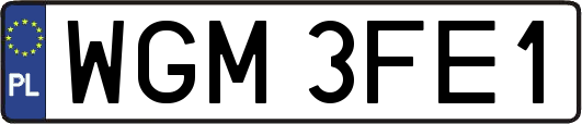 WGM3FE1