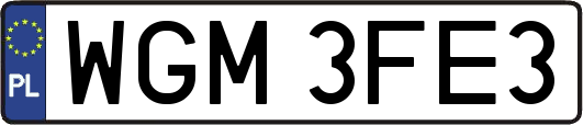 WGM3FE3