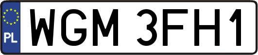 WGM3FH1