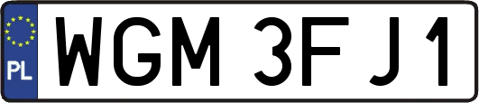 WGM3FJ1