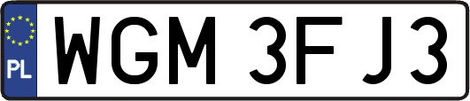 WGM3FJ3