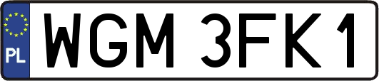 WGM3FK1