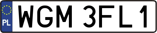 WGM3FL1