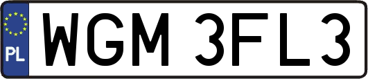 WGM3FL3