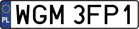 WGM3FP1