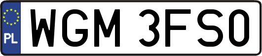 WGM3FS0
