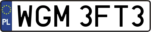 WGM3FT3