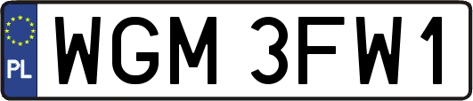 WGM3FW1