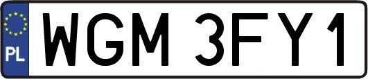 WGM3FY1