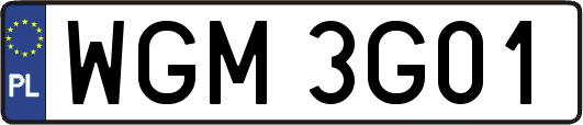 WGM3G01