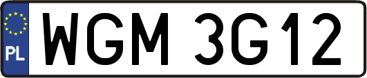 WGM3G12