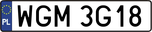 WGM3G18